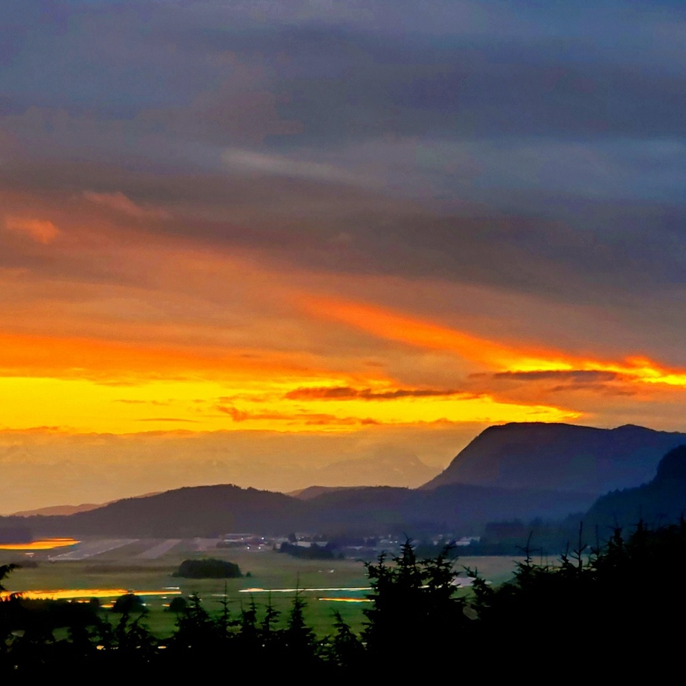 Meet your Posher, Lulu!